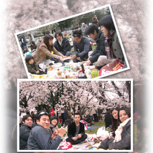 hanami2010